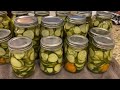 Spicy Dill Pickles From My Own Backyard Garden