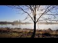 RELAXING SOUNDS OF A LAKESHORE ON A SUMMER MORNING AFTER A RAINY NIGHT - BIRDS SOUNDS WHITE NOISE