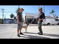 Socialize Your DOG in Public - Real World Dog Training