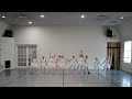 The Little Swans / Swan Lake Ballet / kids, Танец Маленьких Лебедей / American Russian Ballet school