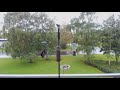 The great spotted woodpecker (Dendrocopos major) is back at the feeder