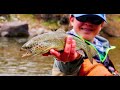 The 10 Best Places to Catch Trout In Utah