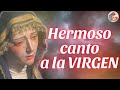 Hermoso Canto a la Virgen || Música Católica para Sanar el Cuerpo, Alma y Espíritu 2024