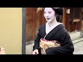 外国人観光客も見惚れる祇園甲部の可愛い舞妓さん Maiko in Gion, Kyoto 【4K】 2024/1月