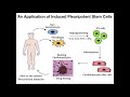 What's the Deal with Induced Pleuripotent Stem Cells (iPSCs)?