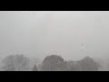 Whiteout + 40 mph Wind | Snow Squall | Alberta Clipper | 11/28/21