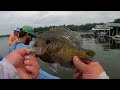 THEY HAVE NEVER SEEN BLUEGILL THIS GIANT!! TEXAS BLUEGILL FISHING 2024!!