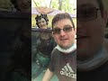 My visit to the live Mermaid attraction at the Michigan Renaissance Festival 2021