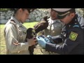 Donación de Águilas Reales al Heroico Colegio Militar.