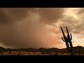 Last Week of July - AZ Monsoon 2024