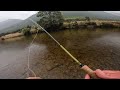 SPECTACULAR BROWN TROUT in the RAIN / South Island Diaries 8