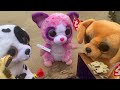 “The Wellerman” Beanie Boo Music Video