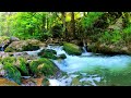 Soothing Relaxation Relaxing Music, Water Sounds for Sleep, Meditation and Study