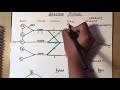 BRACHIAL PLEXUS: made ridiculously simple (part 1)| DrawWithMe