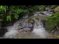 Relaxing Waterfall Sounds in the Deep Forest | White Noise Water Sounds for Sleeping, Meditation