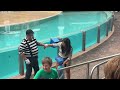 Tom's Hilarious Mime Antics at Seaworld