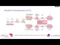 CLL –  a basic introduction, what’s new in basic biology