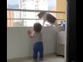 Cat Bodyguard