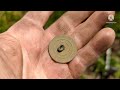 Metal detecting a Colonial homestead site. Buckles, buttons and a silver.