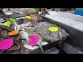 BILLINGSGATE FISH MARKET || LONDON UK (2021)