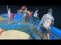 Wow !!! Fourth Day We Stayed in the Deep Sea Fishing Caught lot of Fish's | #tuna fish #marlin fish