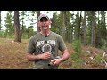 Learn to Use Diaphragm Elk Calls