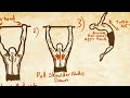 Perfect SHOULDER HEALTH in minutes a day with PERFECT HANGS!