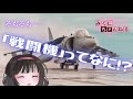 戦闘機よもやま話『戦闘機とは何なのか』