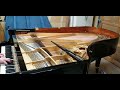 restrung Schimmel 208