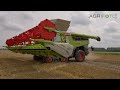 Visiting the biggest arable farm in NL🇳🇱 | Claas Lexion 8900 & 780 | KMWP | Stubble cultivations