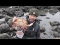 Coastal Foraging ALL THIS to Make Delicious Cioppino (BIG Mussels, Crabs, Clams)!