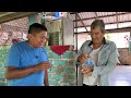 Cosechando LICHIS en la SIERRA de GUERRERO ¡Una fruta exótica exquisita!