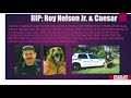 Not Forgotten - Tribute to New Smyrna Beach PD (FL) Cop Roy Nelson Jr. & k-9 partner, Caesar