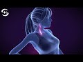 Activate Vagus Nerve: Parasympathetic Nervous System (Binaural Music)