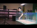 DEFY GRAVITY - Aqua Rocks Colorado Aquascaping Demonstration