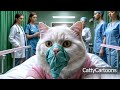 Cherish Your Mother Cat 🐱🏥🐈 #cat #aicat #cutecat