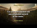 Reflexiones sobre el Arrepentimiento: Citas Inspiradoras para Cambiar tu Vida