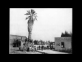 The Oldest Palm Trees in L.A.