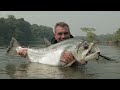 Fishing Among Predators - Chasing Monsters - Fishing Show
