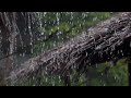 30 min Rain Sounds   The Sound of Rain Meditation, Deep Sleep,Relaxing Sounds