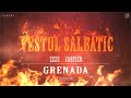 VESTUL SALBATIC - GRENADA (ZEZE ❌CARTIER) | prod. Be Franky
