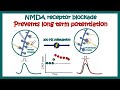 Neurotransmitters: Glutamate | What do glutamate neurotransmitters do? | Glutamate cycle in synapse