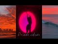 24. Andre feat. Maxim Delia - Prinde culoare