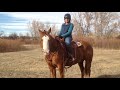 Stephanie and her new horse Savvy starting out on a trail ride.