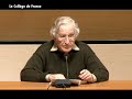 Interpretation & Understanding: Language & Beyond (Noam Chomsky)