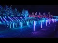 Trippy LED lightshow - Denver Botanic Garden 12/2023