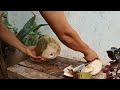 the easy to peel young coconut part 15#cuttingskills #coconutcuttingskills #youngcoconut#coconuttree