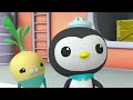 ​@Octonauts - 🤗 Friendly Neighbhorhood Shark Watch 🦈 | Shark Week Marathon | @OctonautsandFriends