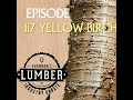 117 - Yellow Birch