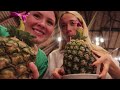 THAILAND VLOG | exploring bangkok, chiang mai & phuket